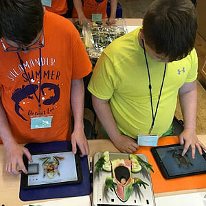 Two children doing virtual dissections